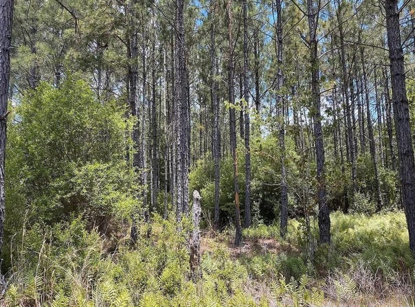 1570 SW WABASSO TERRACE, GREENVILLE, FL 32331