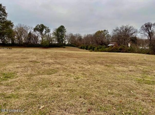 2 A & 2 C Us-51 lot: 2A2c, Hernando, MS 38632
