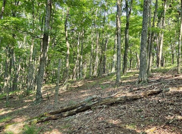 Mosquito Road, Six Mile Run, PA 16679