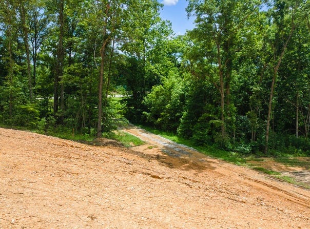 1111 State Hwy 177, Jackson, MO 63755