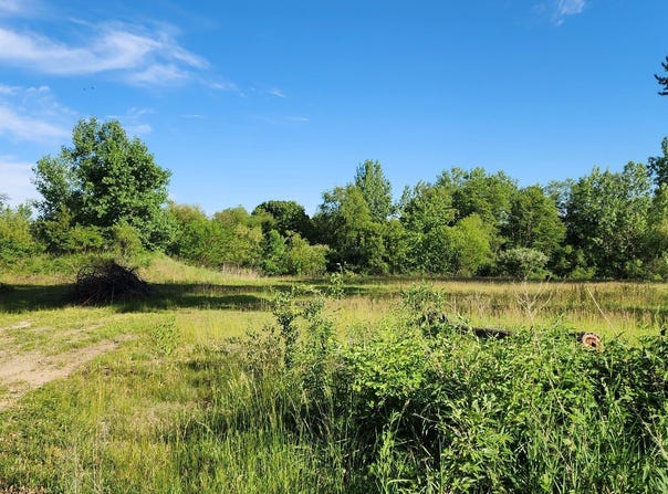 574 Caleb Road, Braidwood, IL 60408