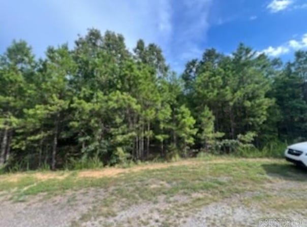 0 Truman Reynolds Road, Quitman, AR 72131