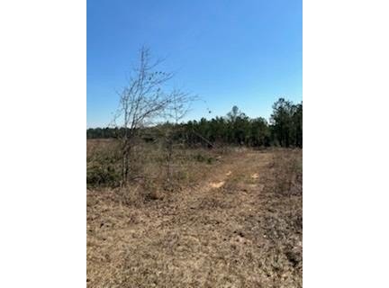 17.5ac County Rd 67, Clopton, AL 36317
