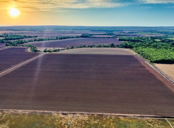 Pierce Drive, Bradford, AR 72020