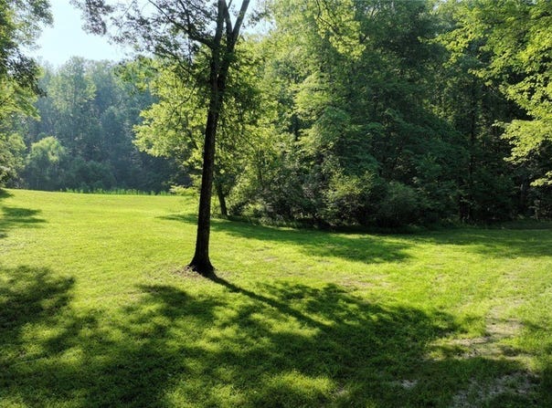 03  Strawberry Run, Crozier, VA 23039