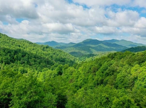 1515 Briartown Church Road, Topton, NC 28781