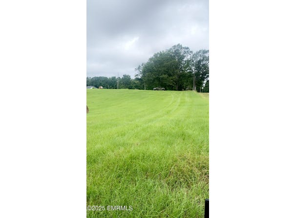 26 Lakeview Drive, Union, MS 39365