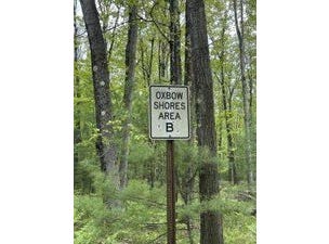 9846 W Ox Path Street, Baldwin, MI 49304
