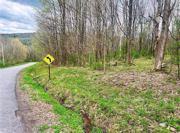 Sisson Hill Rd, Unadilla, NY 13849