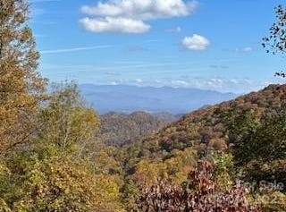 580 Freemont Drive, Leicester, NC 28748