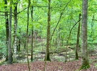 CR 265, BRUCE, MS 38915