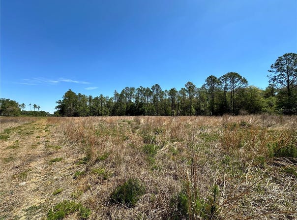 NE 128TH Lane, BRONSON, FL 32621