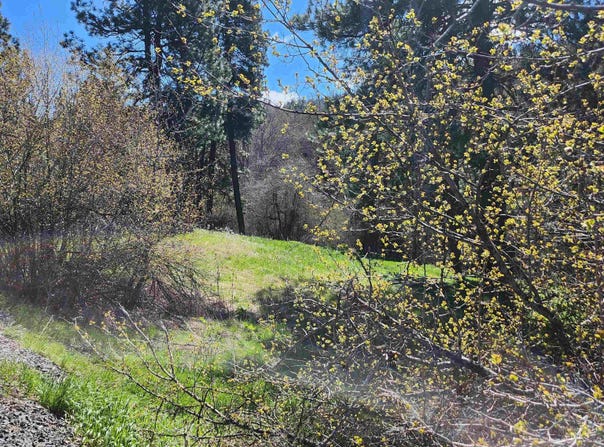 Tbd Four Mile Rd., Viola, ID 83872