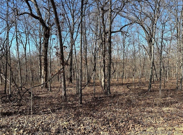 Baul Lane lot: 1635, Edwards, MO 65326