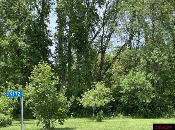 29172 Biehn Drive, Madison Lake, MN 56063