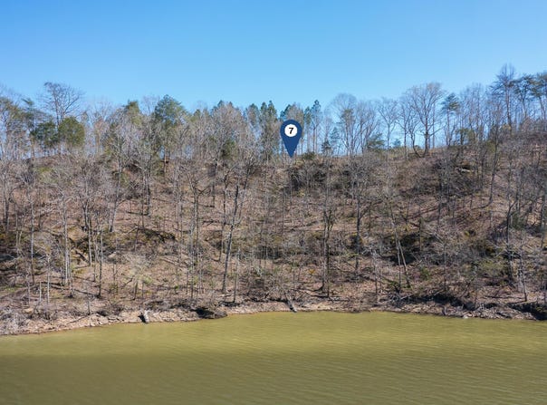 LOT 7 FLAT ROCK COVE, Crane Hill, AL 35053