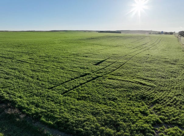 +/- 361 Acres, Keya Paha County, Newport, NE 68759
