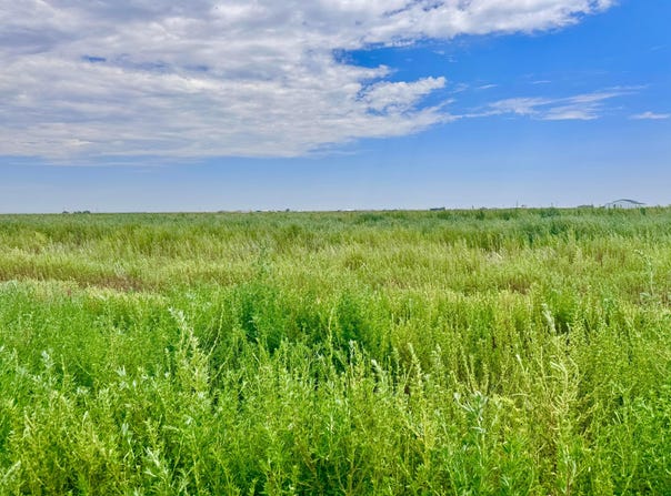 0 Blessen (BT28) Road, Amarillo, TX 79124