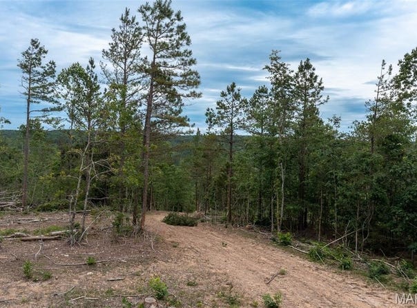 Tract 4 Hidden Valley, Annapolis, MO 63628
