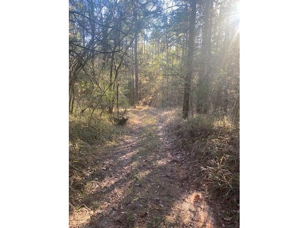 111-TBA CR1820, ROSE HILL, MS 39365