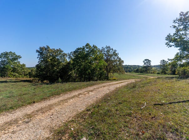 County Road 1130, Willow Springs, MO 65793