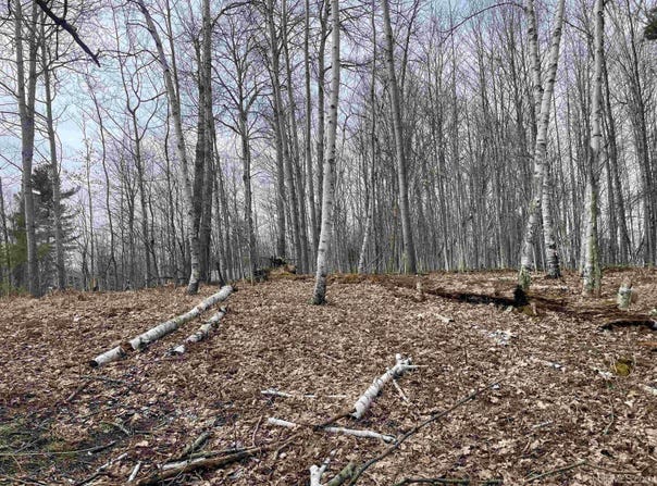 TBD SMITH LAKE DR, Manistique, MI 49854