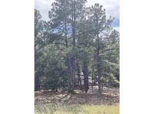 45 Silver Feather Trail, Pecos, NM 87552