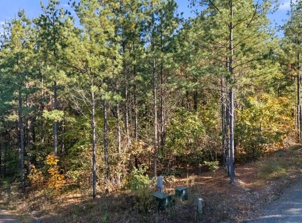 24 Cedar Tree Trail, Broken Bow, OK 74728