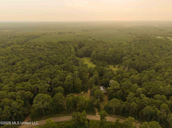 235 Woodrow Martin Road, Brandon, MS 39042