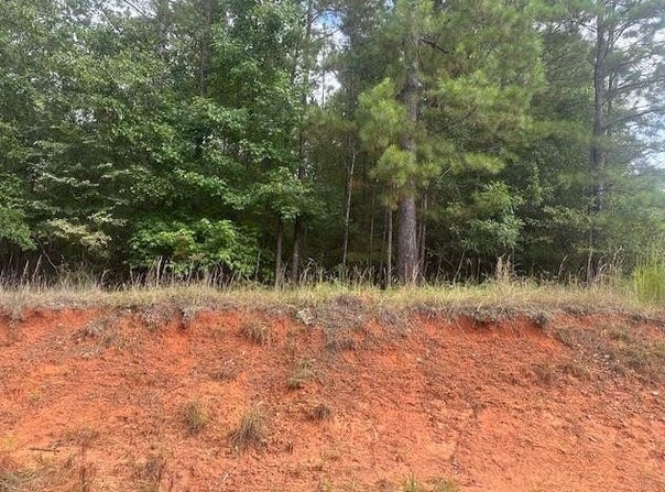 000 Dennis Station, Eatonton, GA 31024