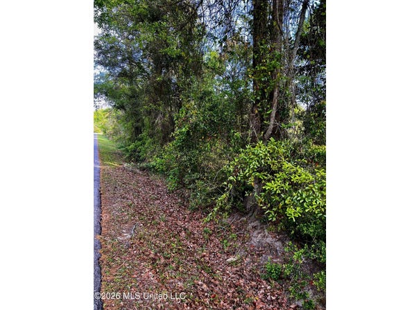 Pine Ridge Drive, Waveland, MS 39576