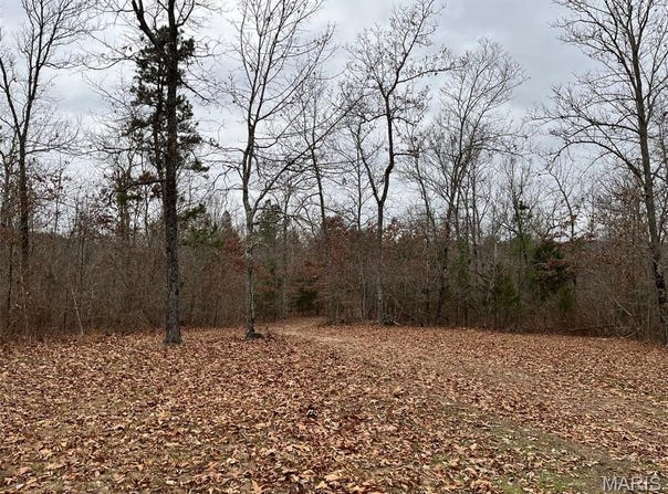 0 Wayne 443, Piedmont, MO 63957