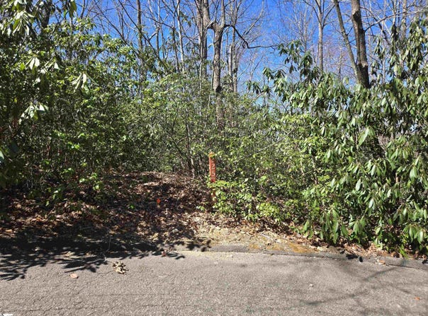 11 Larkspur Lane, Cleveland, SC 29635