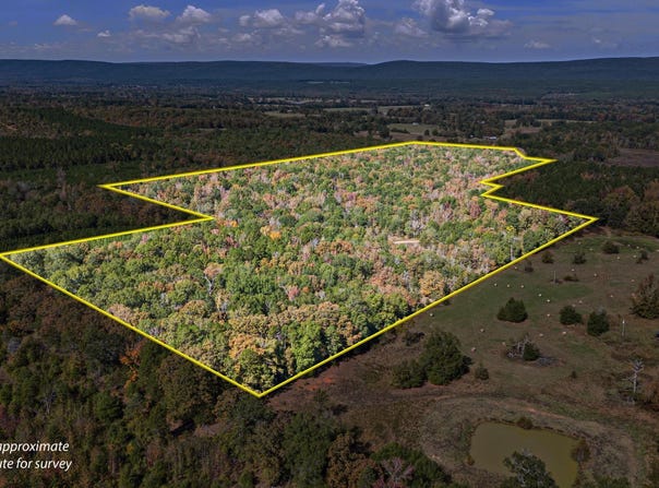307 Highway, Bluffton, AR 72827