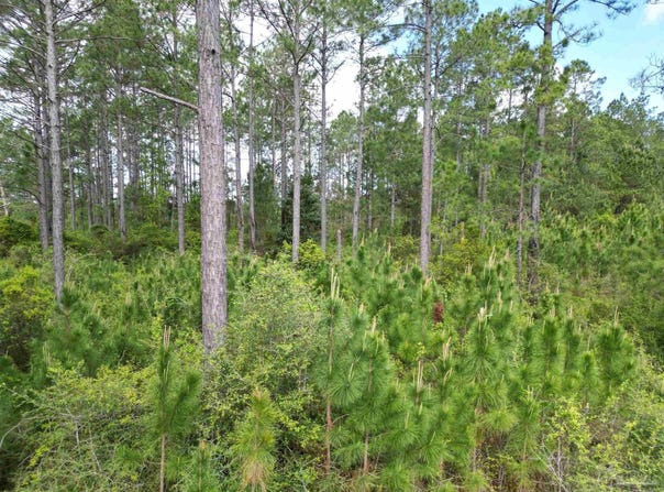 8200 BLK Grimes Rd, Century, FL 32535