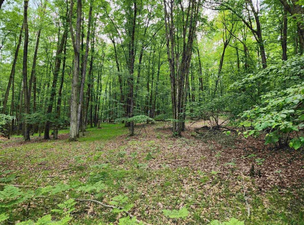 2145 Elkhorn Way, Farwell, MI 48622