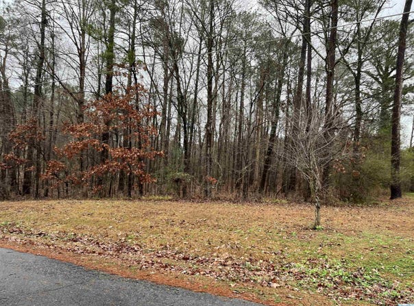 County Road 380 lot: 2 Blk 4, Centre, AL 35960