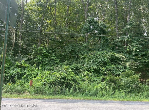 Lot 218 Brookdale Road, Bartonsville, PA 18321