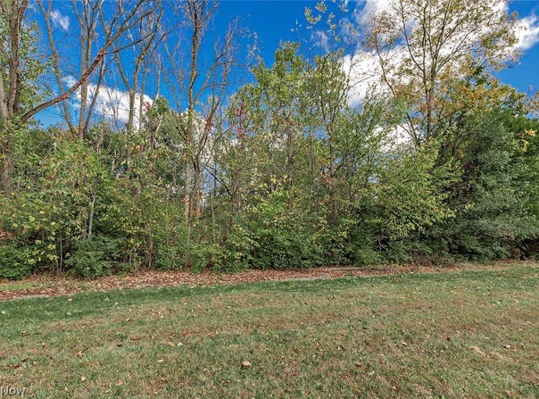 V/L Usher Road, Olmsted Twp, OH 44138