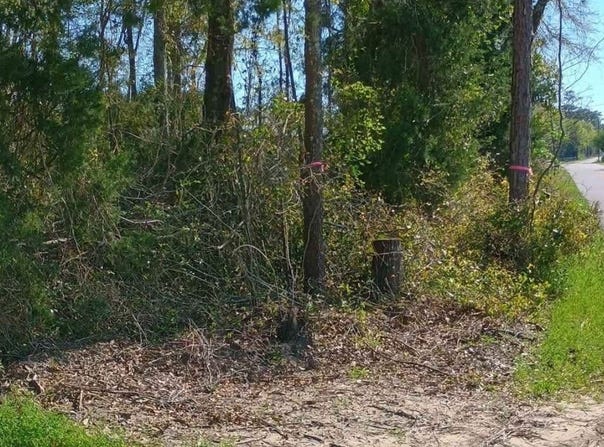 860 NE DELPHINIUM, Madison, FL 32340