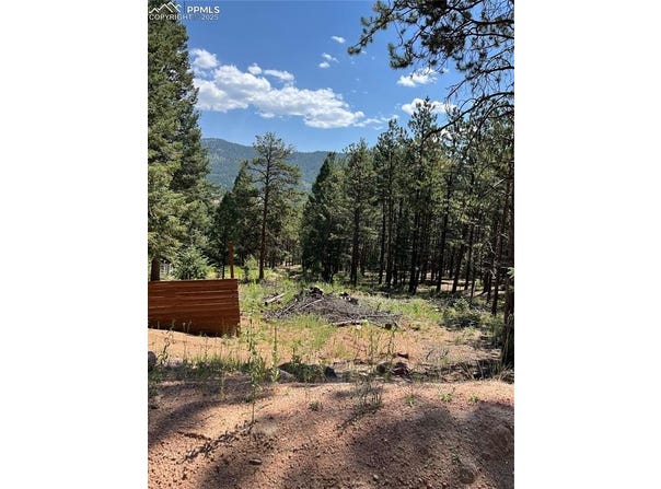 193 Summer Haven Drive, Woodland Park, CO 80863