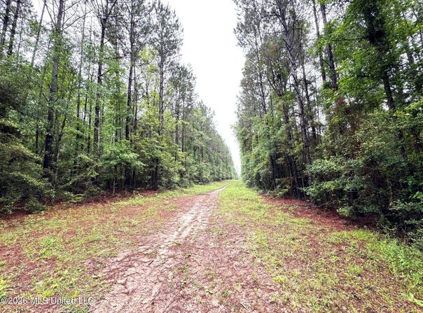 Emerald State Line Road, Magnolia, MS 39652