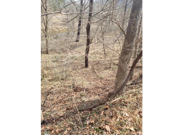 Starlight Ln, Boones Mill, VA 24065