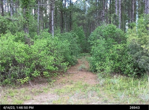 0 Inchachee Road, White Oak, GA 31568