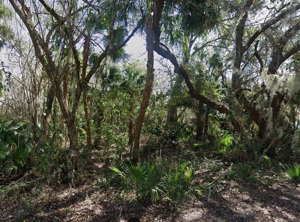 NANCY STREET, OAK HILL, FL 32759