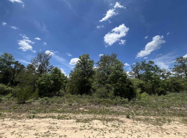 Magnolia Lane, Marianna, FL 32448
