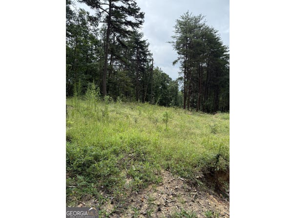 680 Fouche Gap, Rome, GA 30165