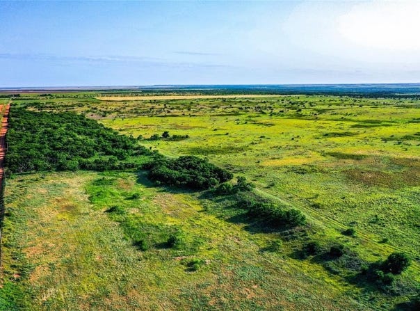 Tbd CR 141, Rule, TX 79547