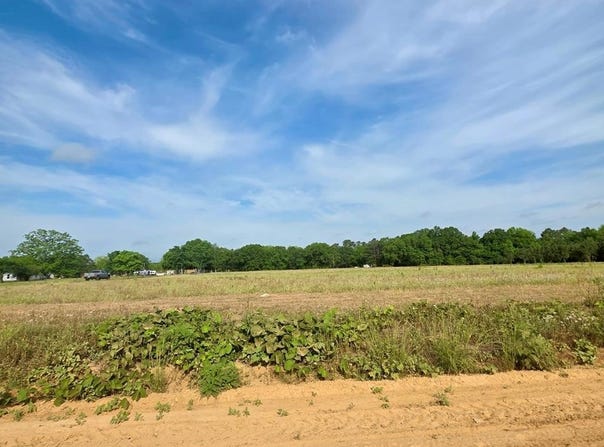 0 H Merritt Road - Parcel D, Slocomb, AL 36375