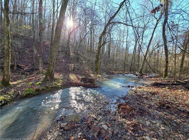 Big Bear Canyon Trail lot: 0, Chester, AR 72934